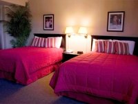 alcoholaddictionresource7